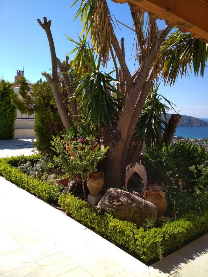 Гостевой дом Saronic View Анависсос Экстерьер фото