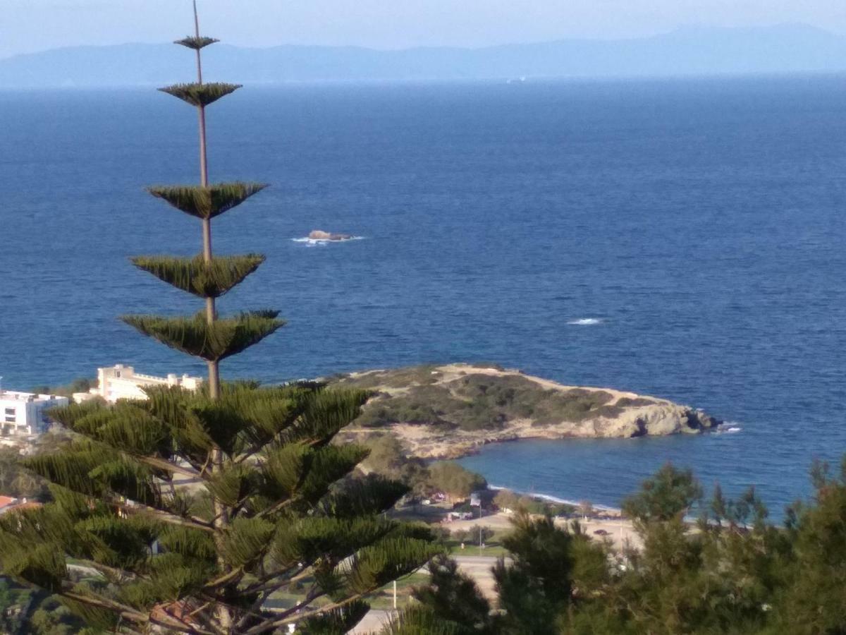 Гостевой дом Saronic View Анависсос Экстерьер фото