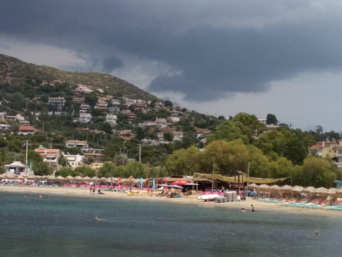 Гостевой дом Saronic View Анависсос Экстерьер фото